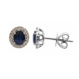 Oval Sapphire Halo Studs