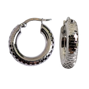 Shiny White Gold Hoops