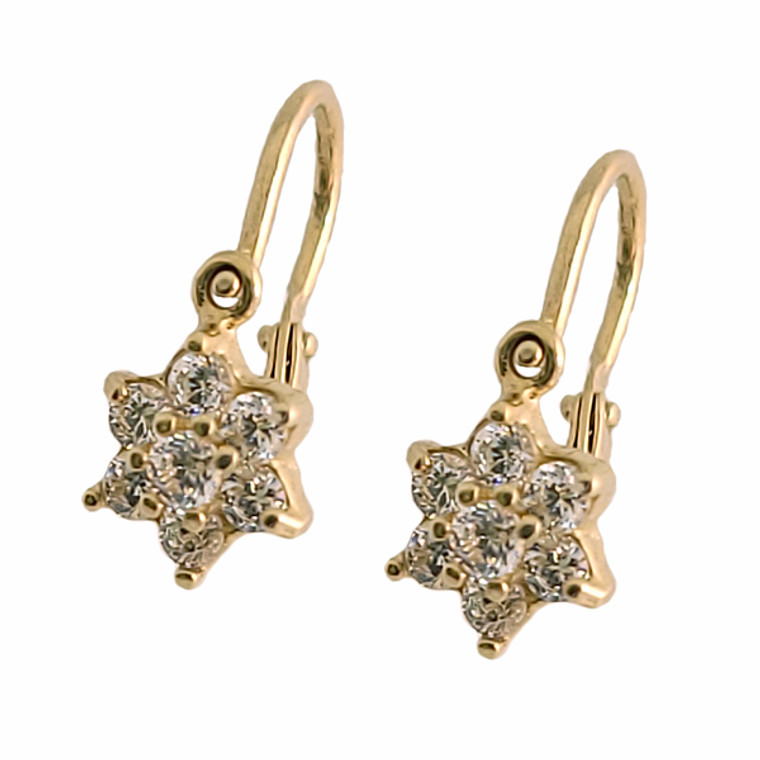 Flower CZ Earrings