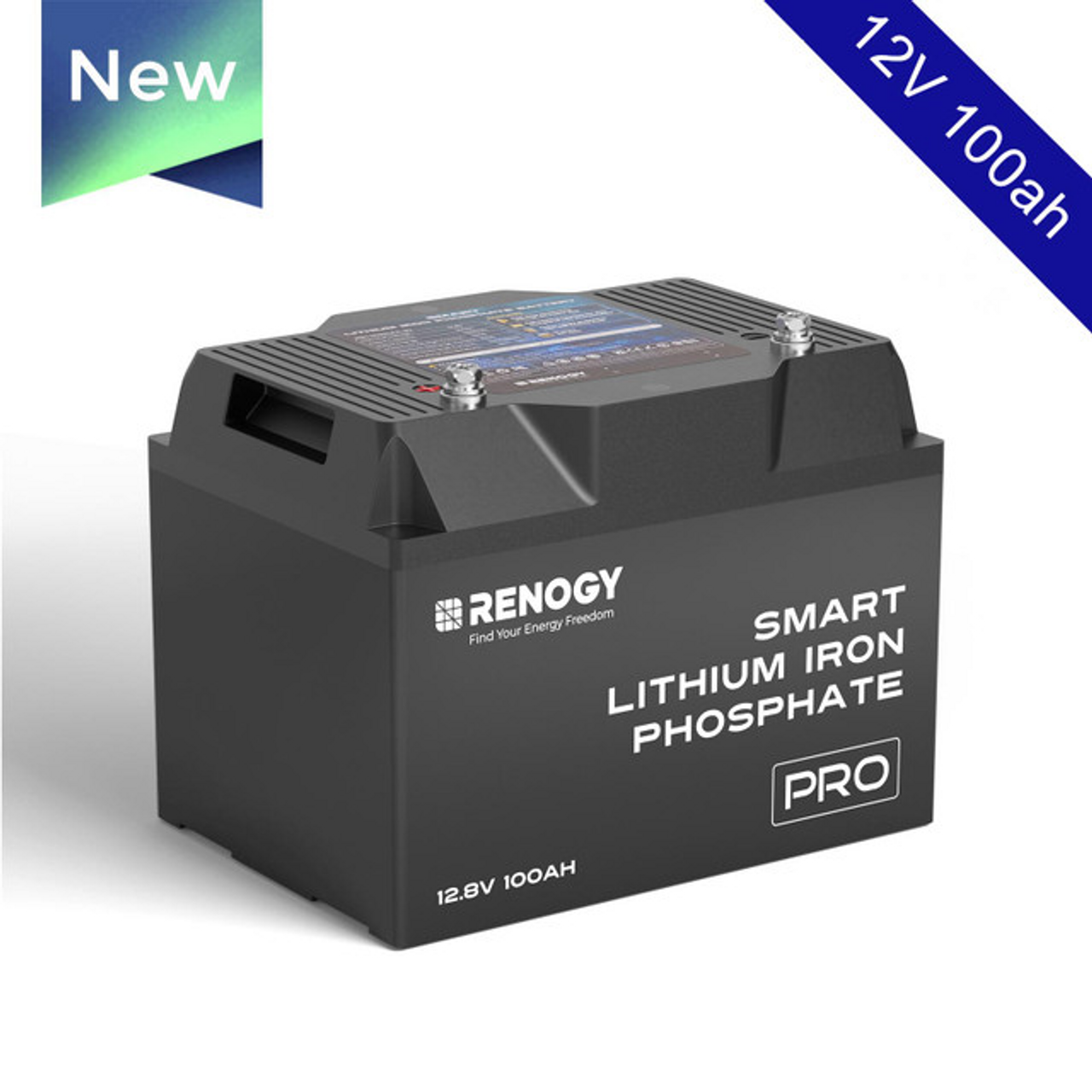 12V 100Ah Smart Lithium Iron Phosphate Battery