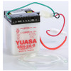 Yuasa Battery 6N4-2A-8 Conventional