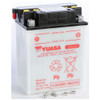 Yuasa Battery YB14A-A2 Conventional