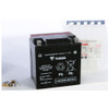 Yuasa Battery YIX30L-BS-PW Maintenance Free