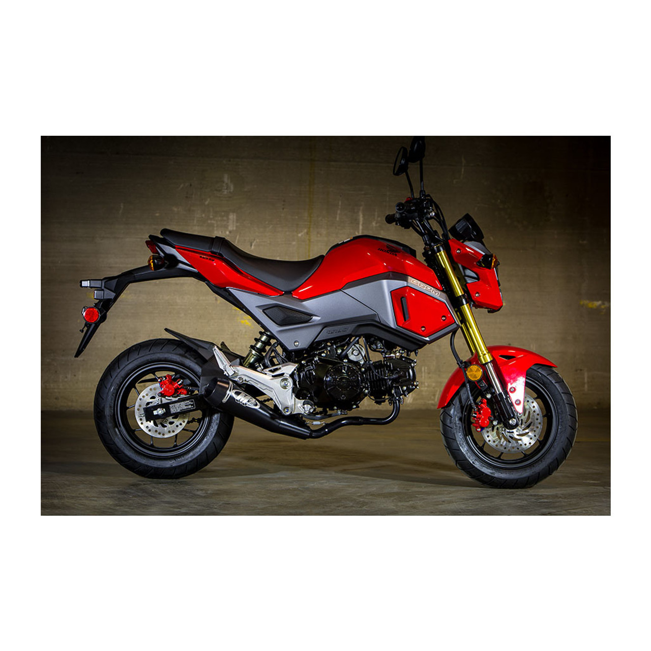 2020 grom