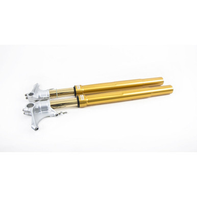 Öhlins サスペンション ゴールド シルバー Ohlins Forks FGRT 225 Kawasaki Kawasaki Zx10-R/Rr
