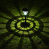 Solapex LED Solar Path Lights