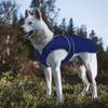 MIGOHI Reflective Waterproof Windproof Dog Coat (XXXL - Navy)