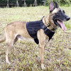 ICEFANG Tactical Dog Harness ,X-Large Size, 2X Metal Buckle,Working Dog MOLLE Vest with Handle,No Pulling Front Leash Clip,Hook and Loop Panel