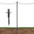 Excello Global Products Premium String Light Poles - 1 Pack - Extends to 10 Feet - Yard Mount (Grass/Dirt)