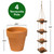 Excello Global Products Rustic 4-Tier Wooden Hanging Planter with Distressed Finish - Farmhouse Style. Comes with 4 Terracotta Pots, Ready for Hanging. Excello Global Products Rustic 4-Tier Wooden Hanging Planter with Distressed Finish - Farmhouse Style. Comes with 4 Terracotta Pots, Ready for Hanging.