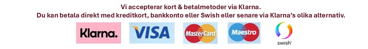 Klarna payment alternatives