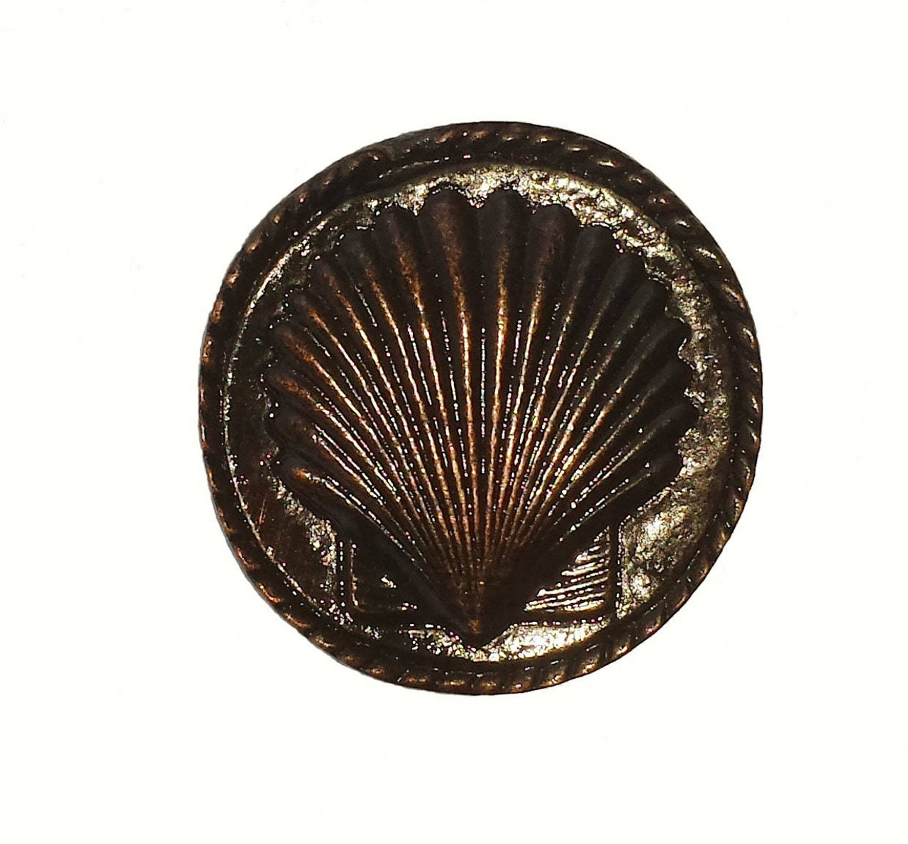 Cabinet Hardware Small Sea Shell Drawer Pull Knob