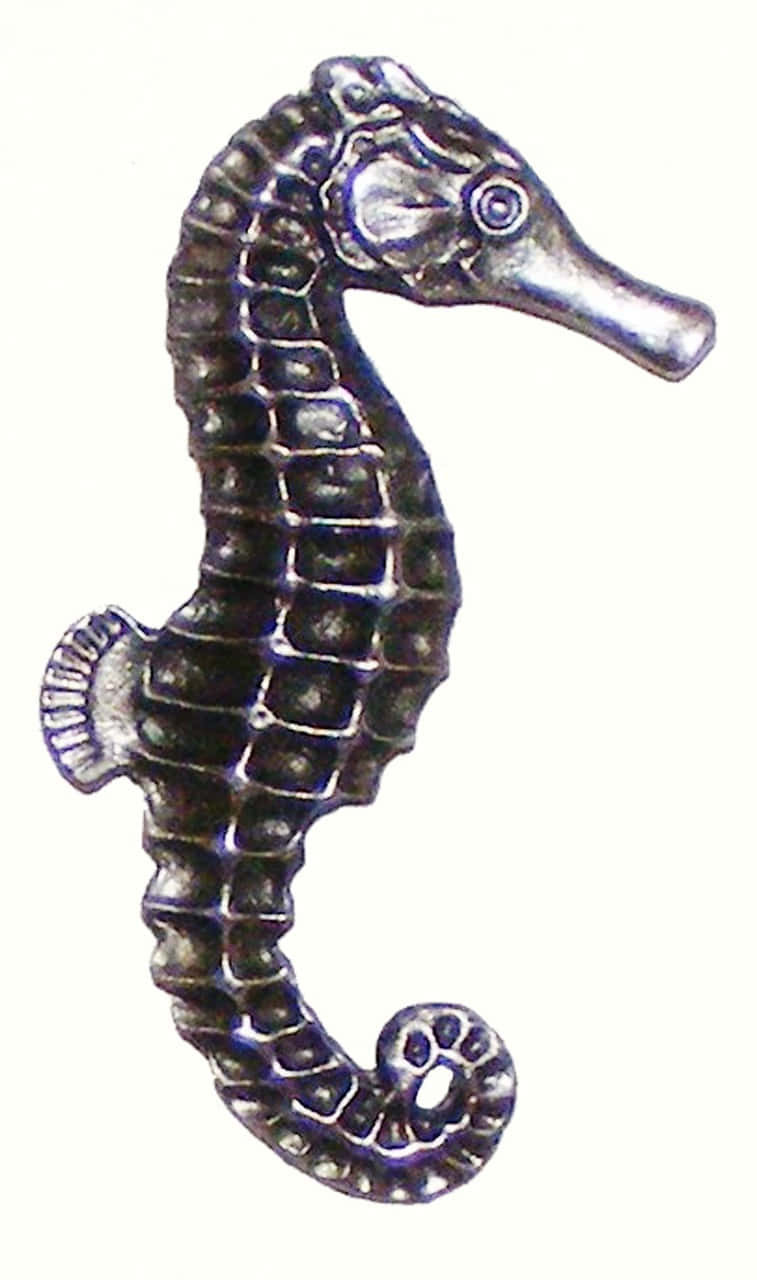 Cabinet Hardware Large Seahorse Drawer Pull Knob Right Facing