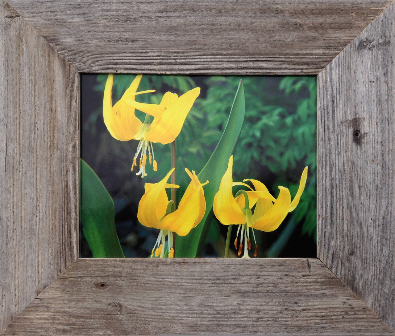 rustic wood frames for paintings