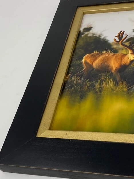 Sunrise Picture Frame Black and Gold Wood Frame