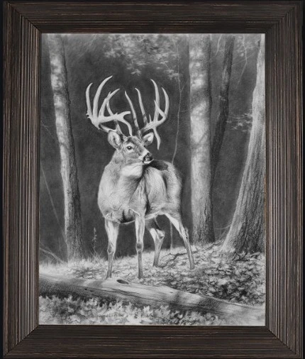 The Aiuppa Buck by Dallen Lambson- Canvas Giclee - My Barnwood Frames