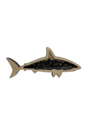 Treasure Hunting in Florida: The Story Behind Our Shark Tooth Display