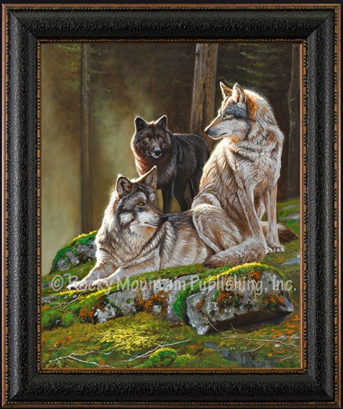 Alpine Alphas by Dallen Lambson- Canvas Giclee - My Barnwood Frames