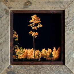 Rustic Frames  8x10 Alder & Barnwood Frame - Sagebrush Series