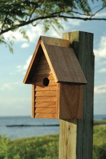 Handcrafted starter home birdhouse made from solid wood with copper trim, designed for outdoor use and small songbird nesting.