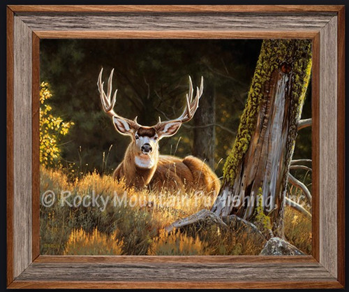 Sunday Morning Mass framed buck (deer) fine art print by Dallen Lambson featuring western wildlife wall décor in a finished frame