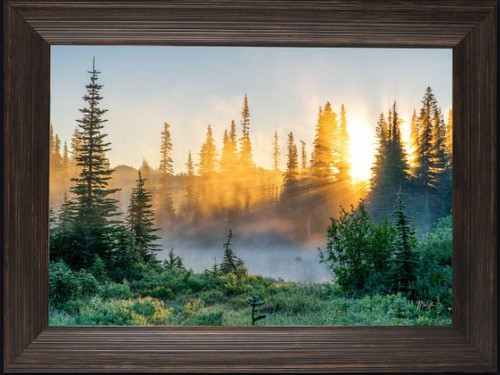 Sunbeam Sunrise framed mountain landscape fine art print by Mickey Shannon featuring sunrise through forest trees wall décor