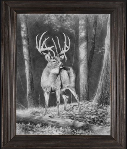 Buck Deer Fine Art