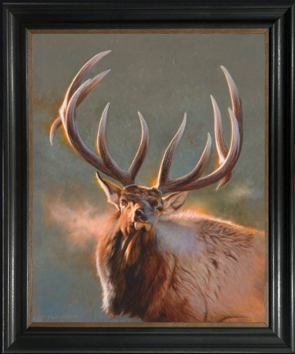 Bull Elk Wall Art