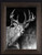 Jaw Dropper canvas giclee wildlife art by Joel Pilcher featuring dramatic mature buck wildlife scene
