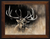 Wake Up Call framed bull elk fine art print by Joel Pilcher featuring western wildlife wall décor in a finished frame
