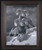 Framed bighorn sheep fine art print by Dallen Lambson featuring western wildlife wall décor in a finished frame