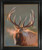Evening Ivories canvas giclée featuring a bull elk with large antlers at dusk, framed rustic wildlife wall art