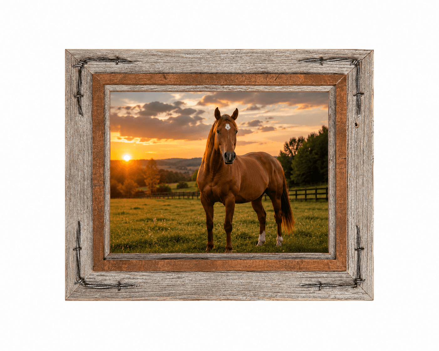 Hobble Creek Frame with Barbed Wire
