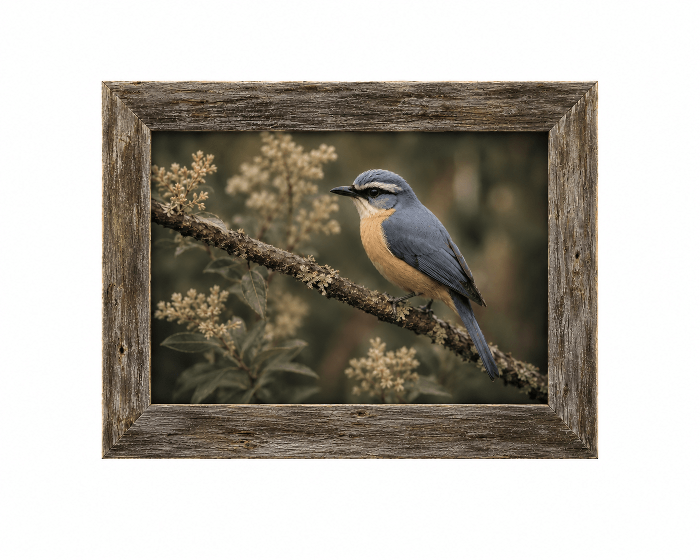 Homestead 1.5" Barnwood Frame