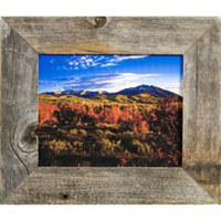 16x24 Frame Gold Real Wood Picture Frame Width 2.25 inches