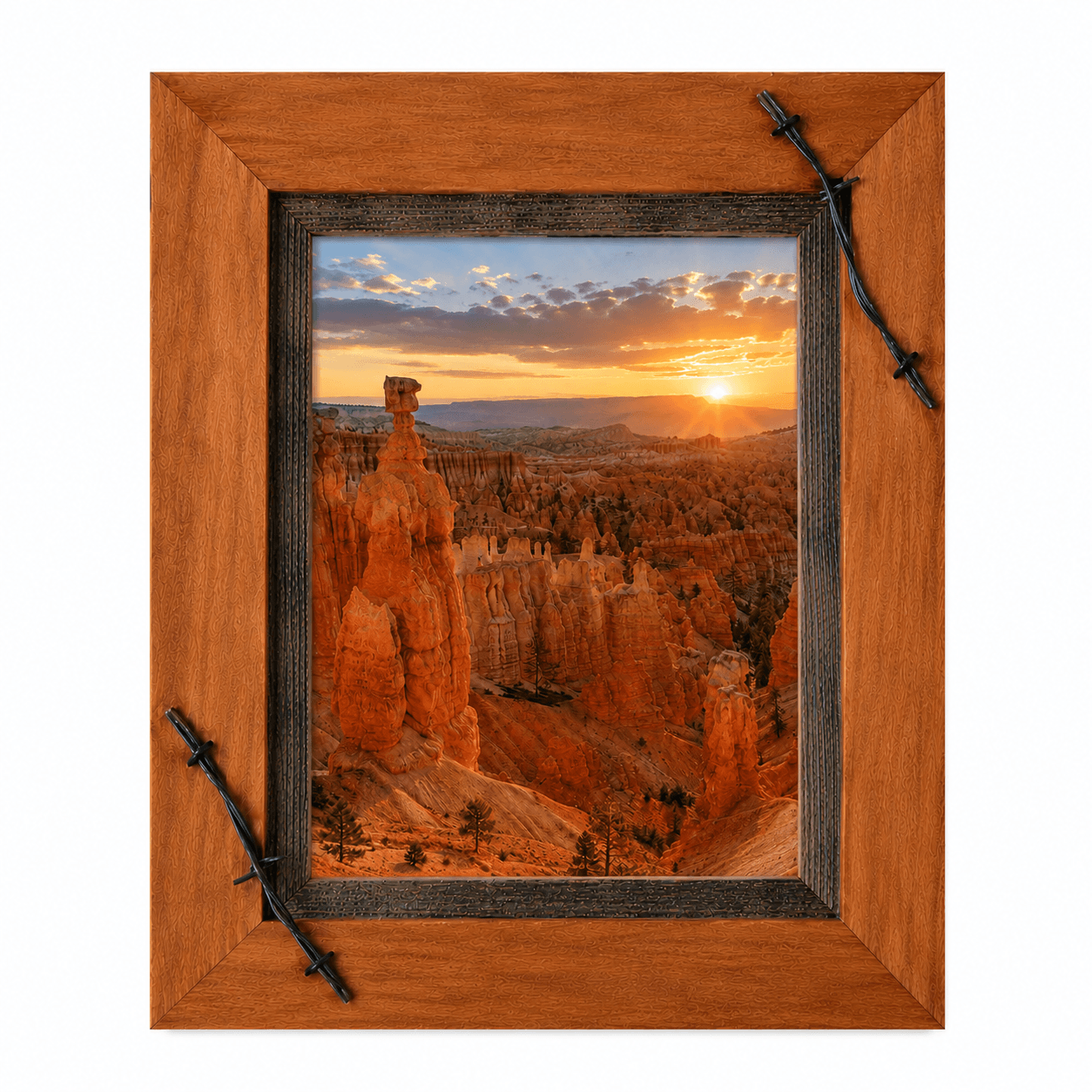 Sagebrush Rustic Frames -  Alder & barbed wire