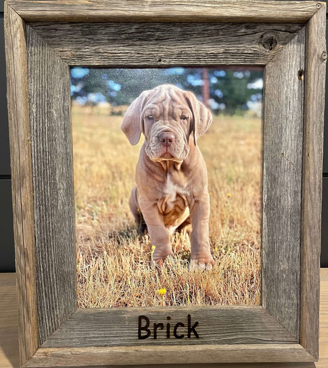 Personalized Wood Picture Frames