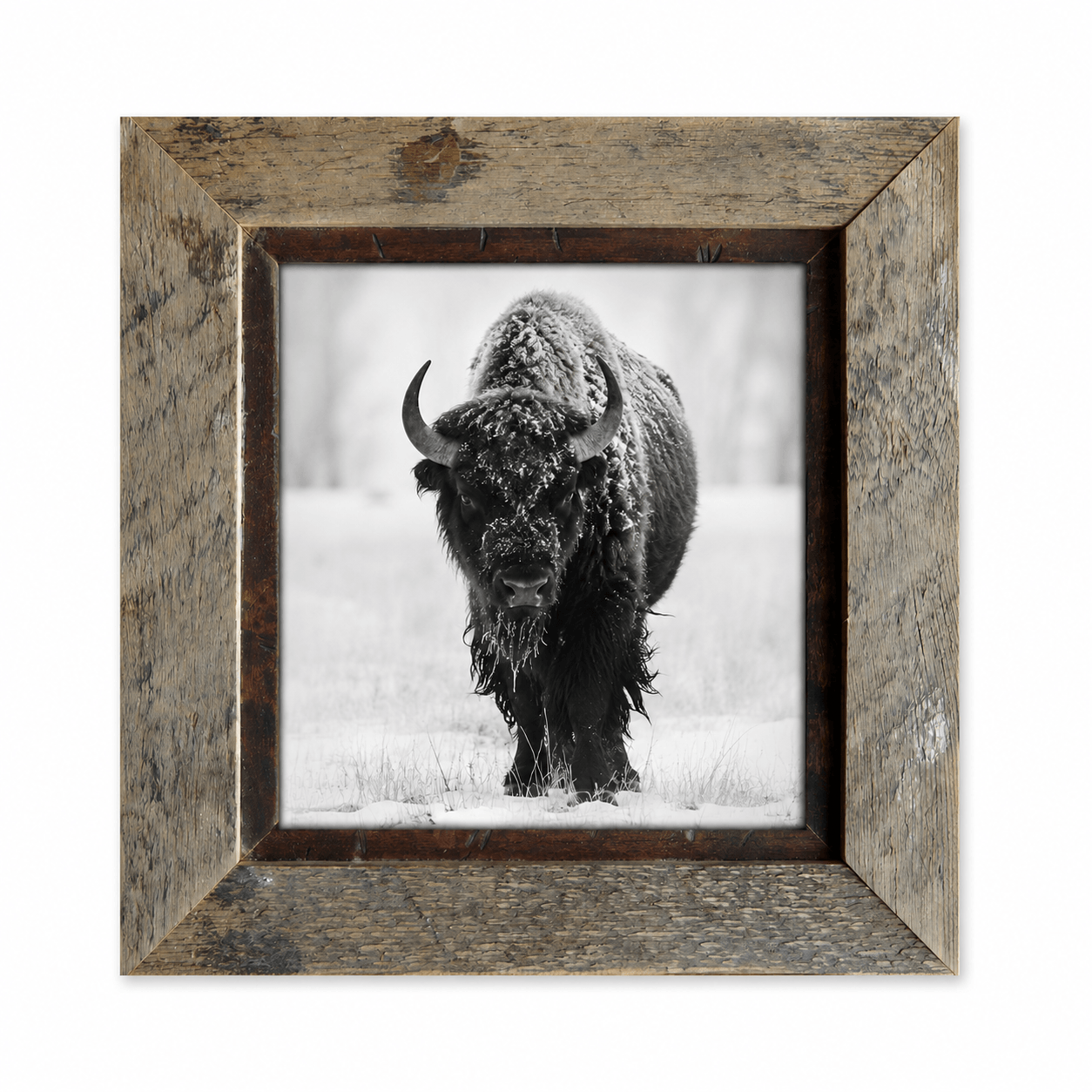 Park City Frames
