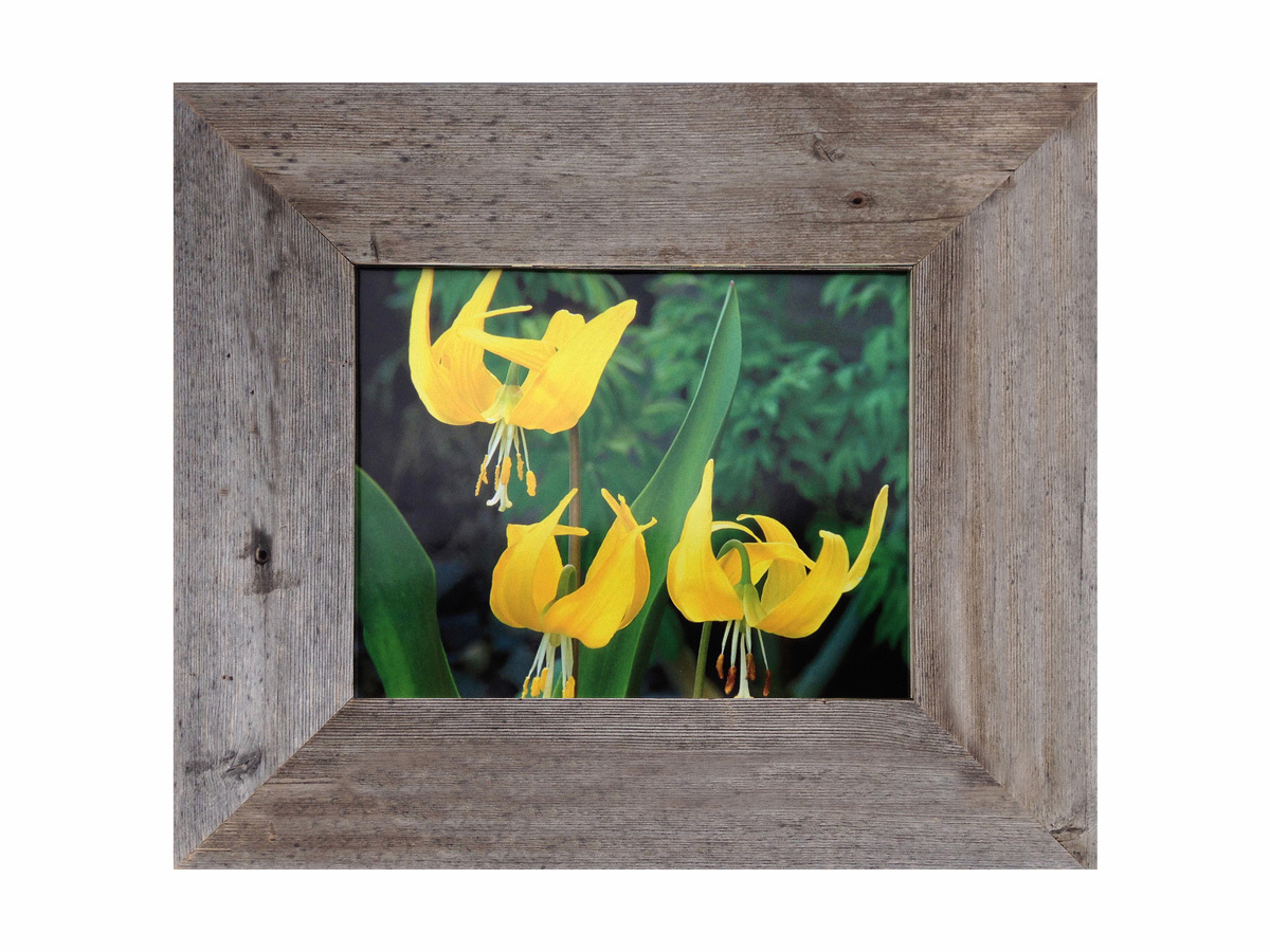 Rustic Frames-4x6 Alder Wood & Barnwood Frame - Sagebrush Series