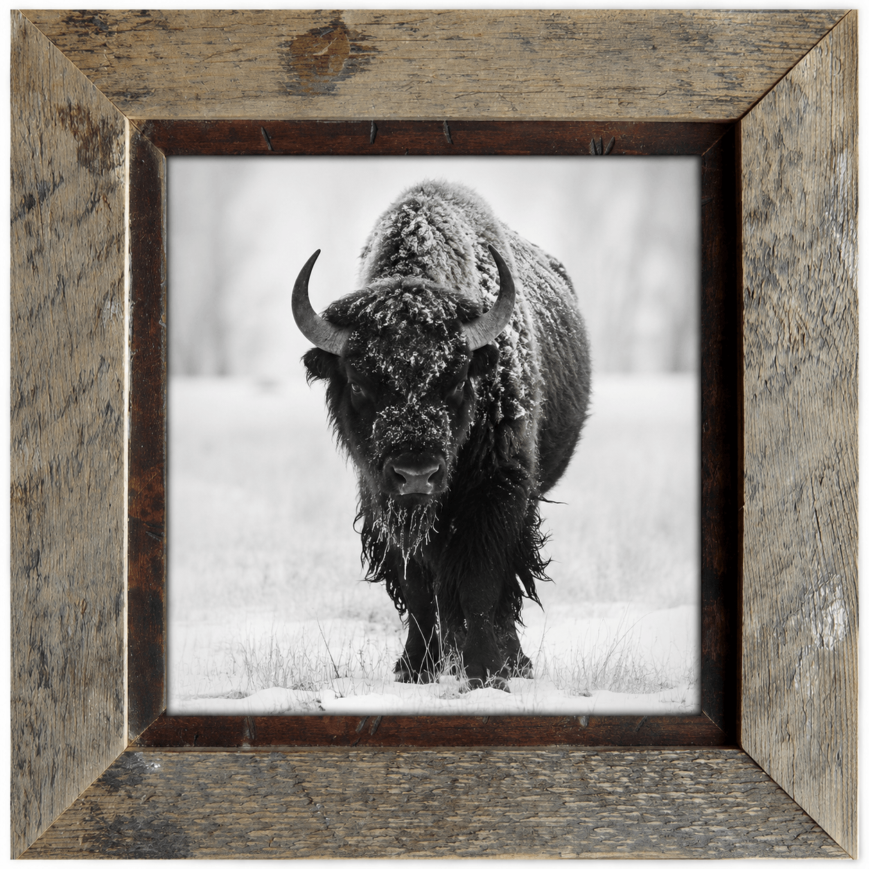 Park City Frames