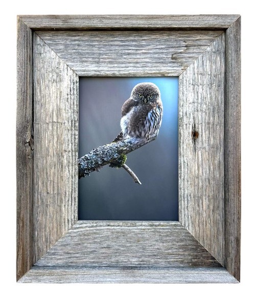 Lighthouse 2.75" Medium Barnwood Picture Frame