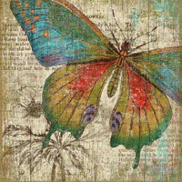 Vintage Butterfly Right Sign