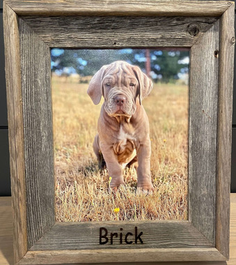 Meta Title Personalized Pet Picture Frame | Custom Engraved Dog & Cat ...