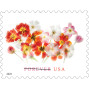 Tulips 2022 - Sheets of 100 stamps
