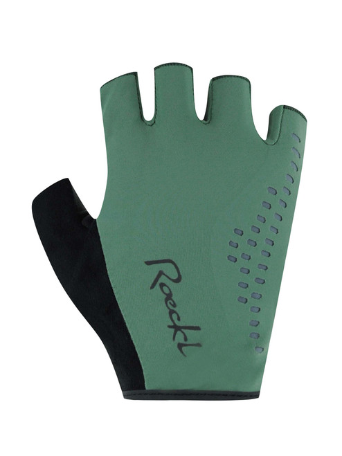 G117 LAUREL LEAF 6.5