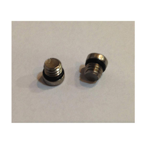 Vis de Purge AVID LEVIER DE FREIN - 20x Vis de Purge Acier + joints