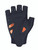 G116 THYME 7