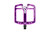 V002 PURPLE 