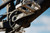 Paire de Manivelles E-MTB 12V Eagle 70 ISIS 160mm Moteur (sans Boitier, sans plateau)