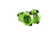 G005 GREEN 50 MM